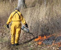 Community Notice – Controlled Burning – Barnegat and Ocean Township Area – Lacey Township OEM – Friday, January 15, 2016